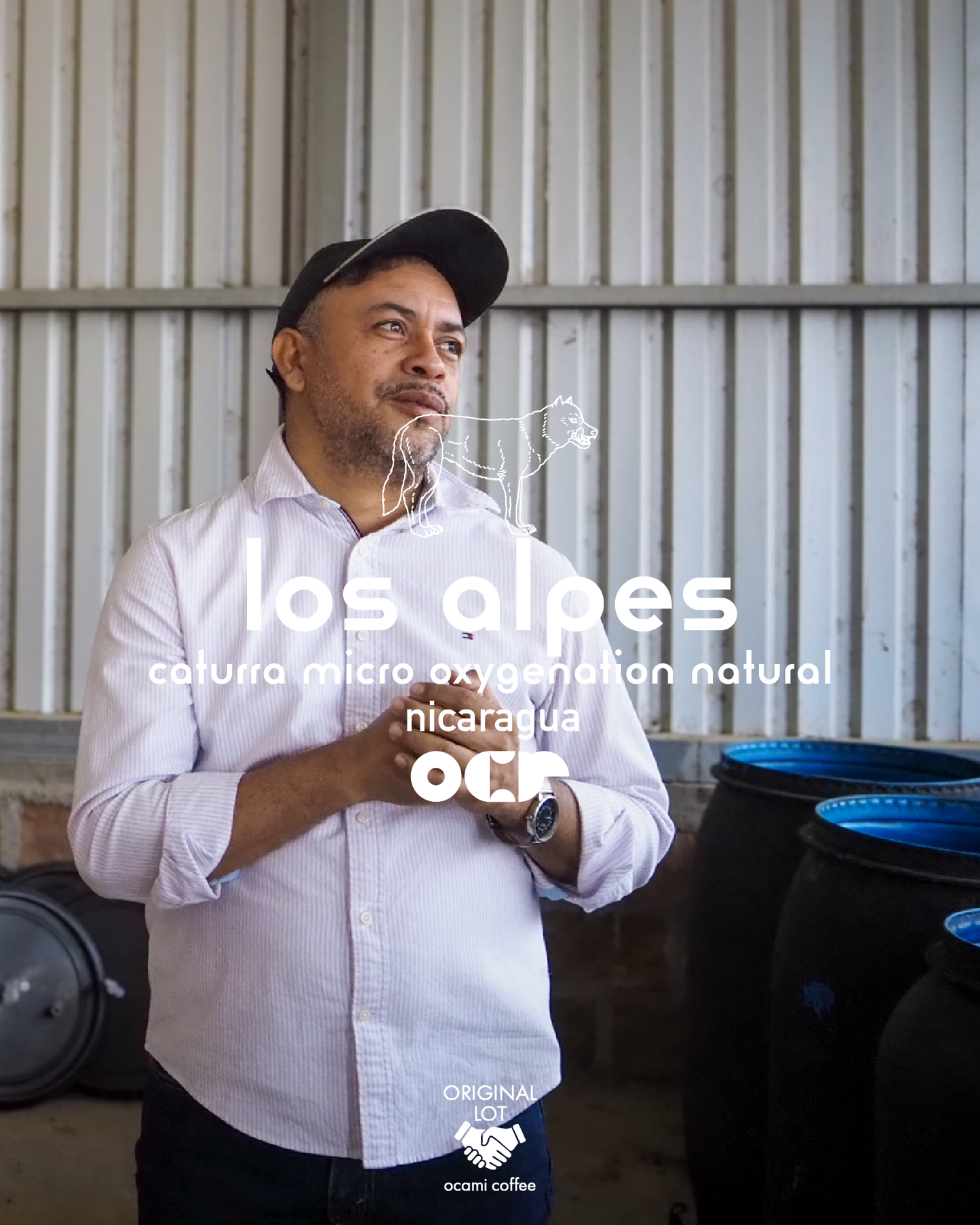 Drip Bag × 5 (Los Alpes Micro oxygenation Natural)