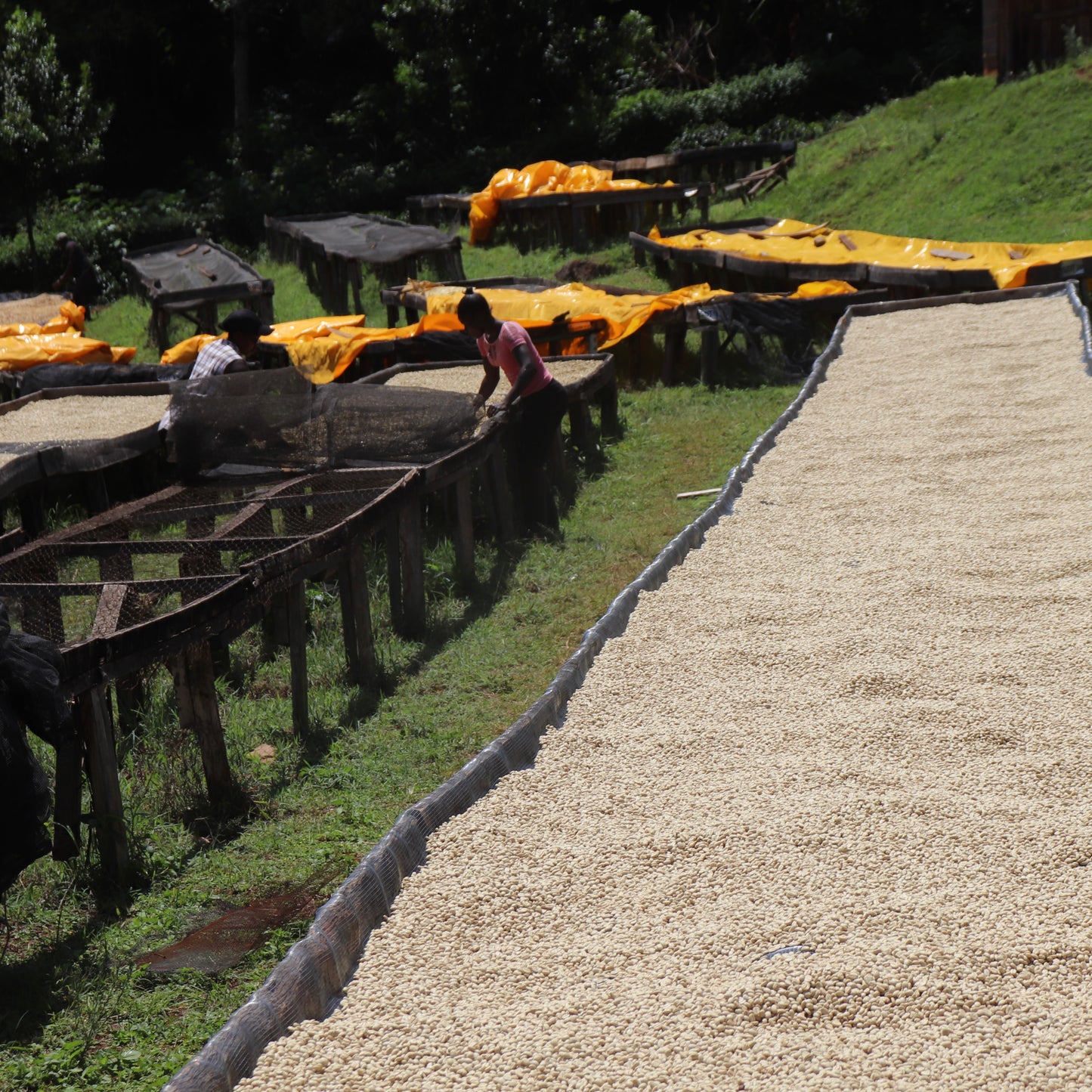 Gakundu Wet Mill Kenya 200gr.