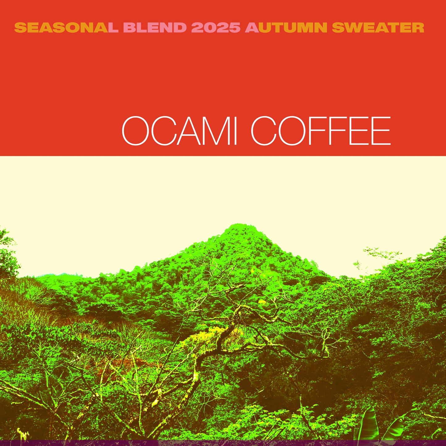 Autumn Sweater 200gr.