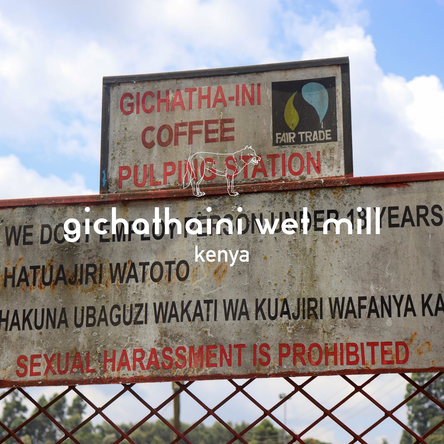 Drip Bag × 5 (Gichathaini Wet Mill)