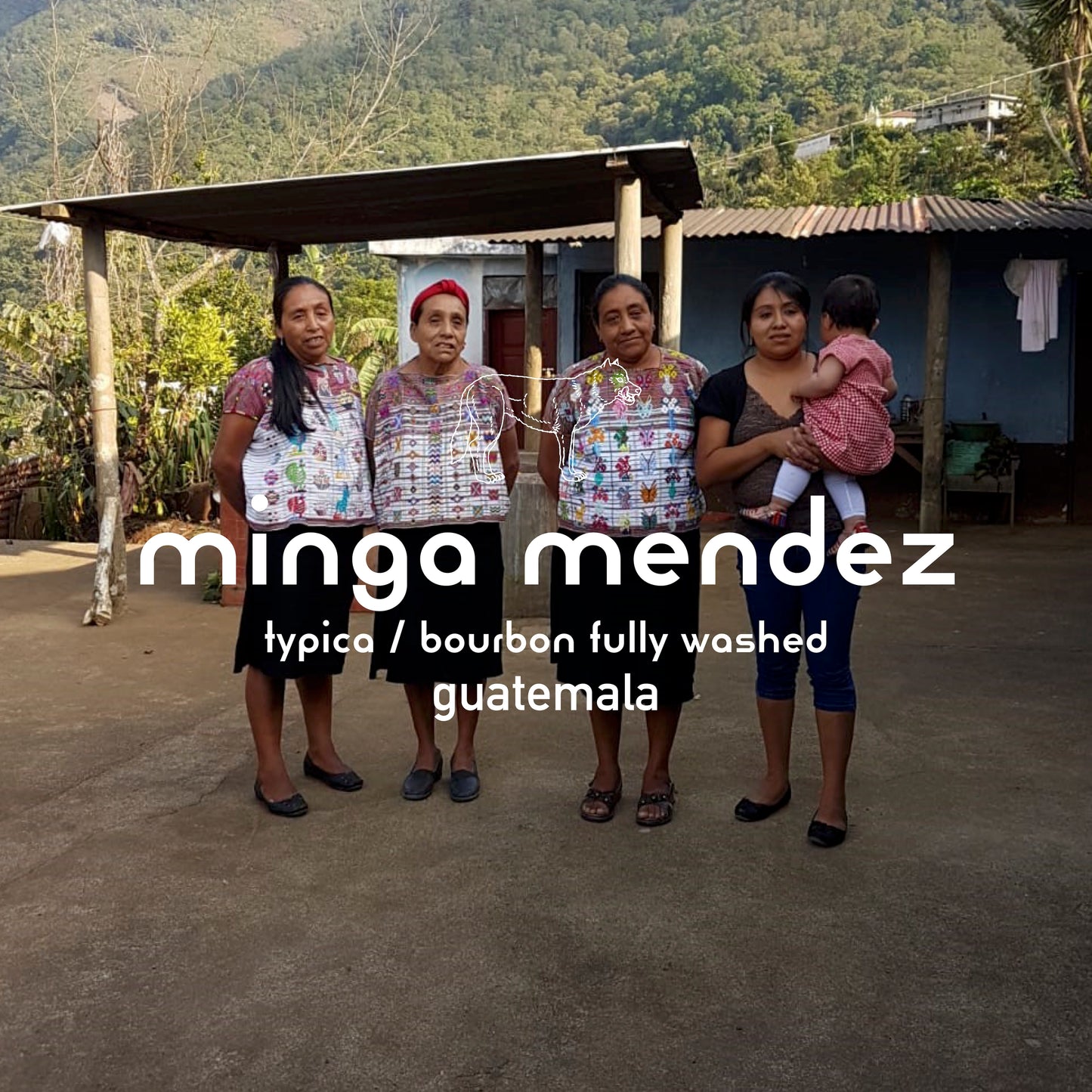 Minga Mendez Typica / Bourbon Fully Washed Guatemala 200gr.
