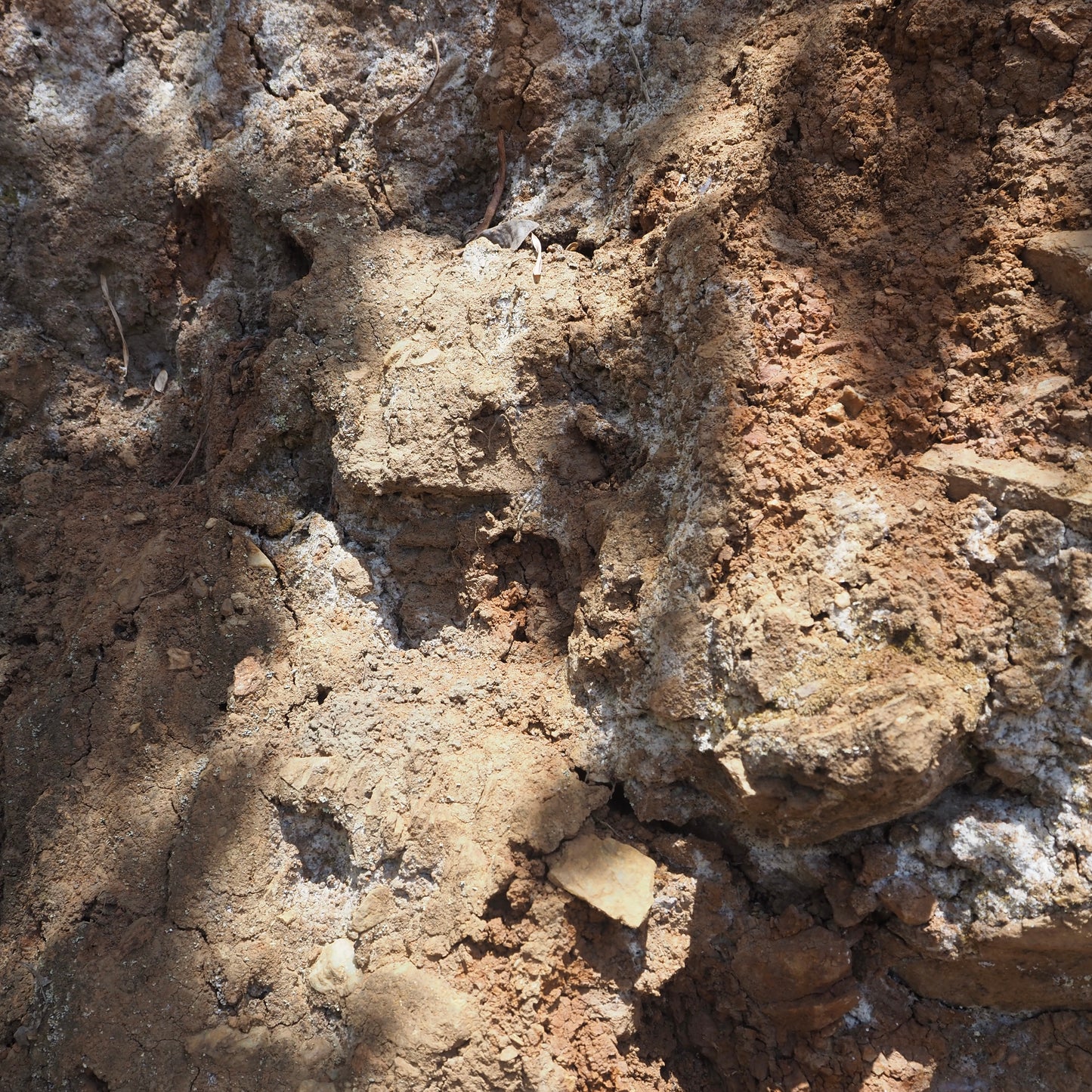 Monte Libano Caturra Anaerobic Natural (Micro Oxygenation) Nicaragua 200gr.