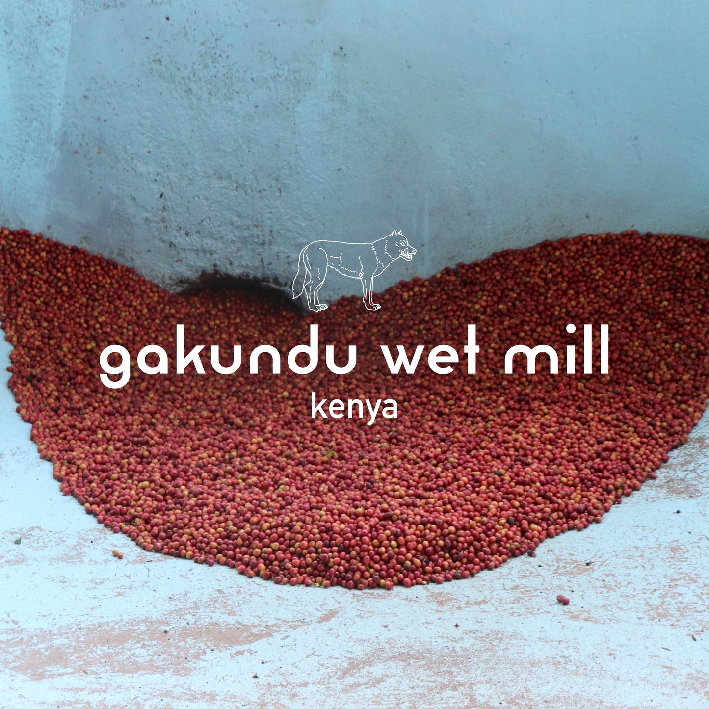 Gakundu Wet Mill Kenya 200gr.