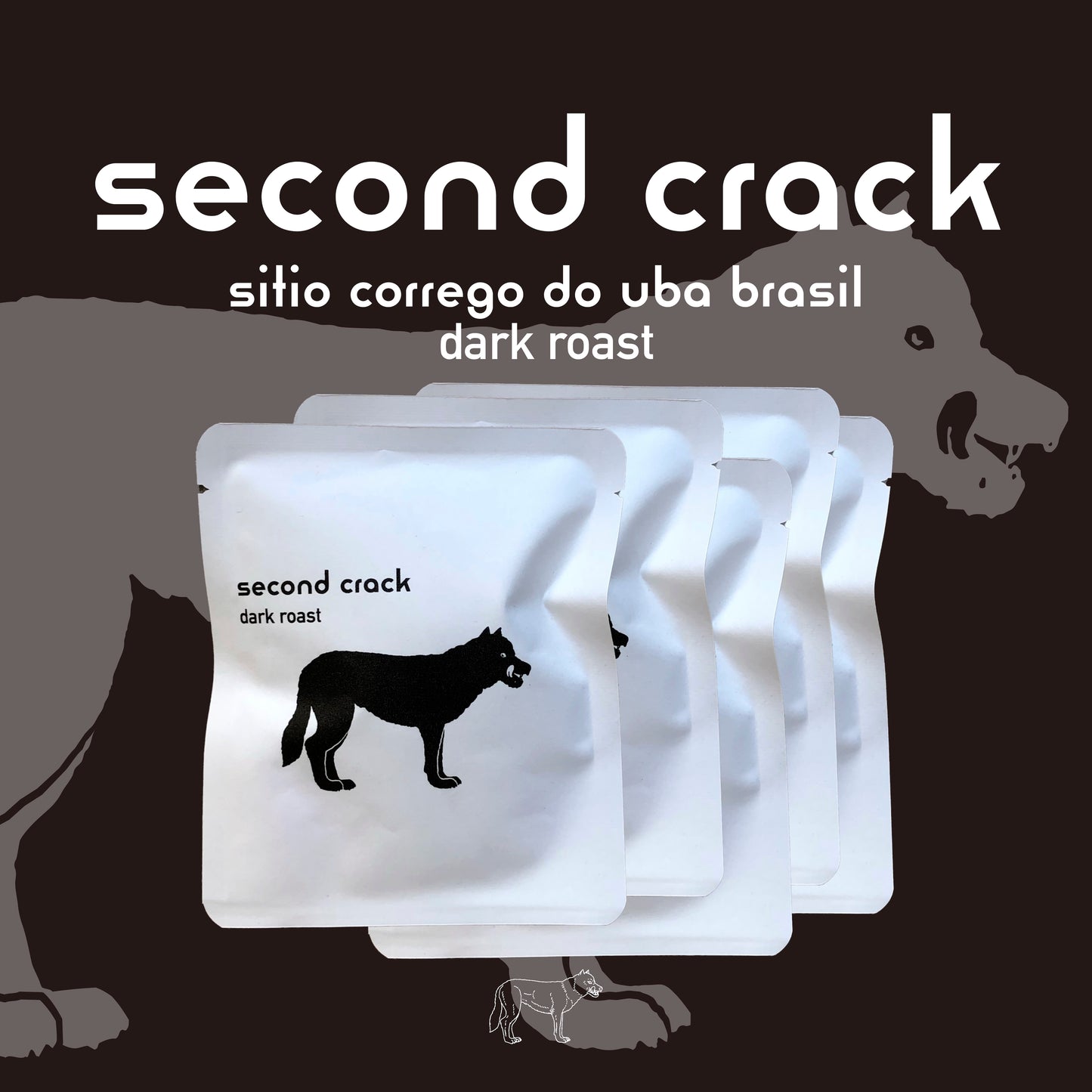 Drip Bag × 5 (second crack)