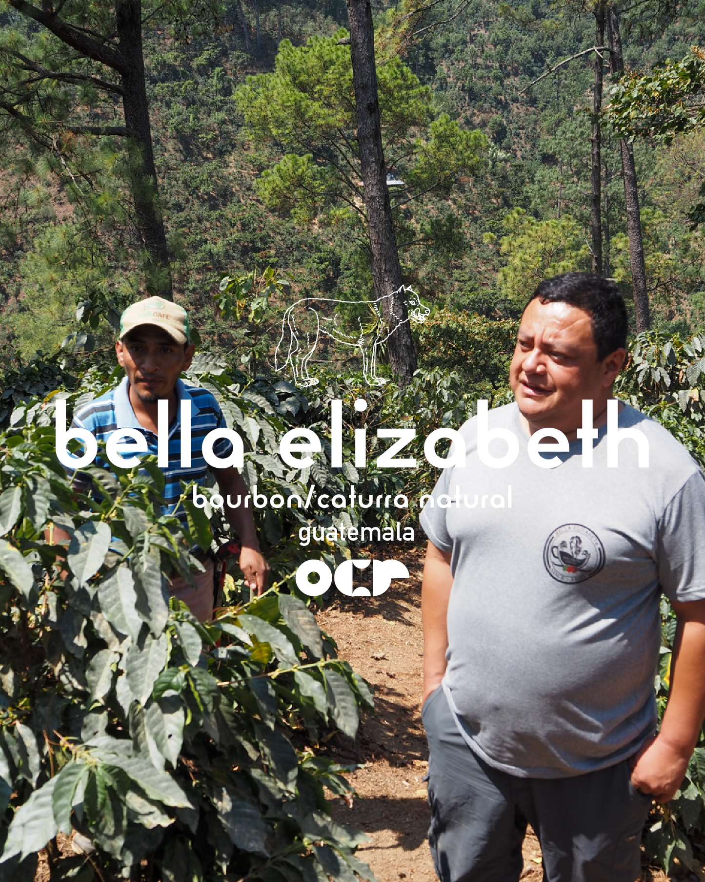 Bella Elizabeth Bourbon/Caturra Natural Guatemala 200gr.