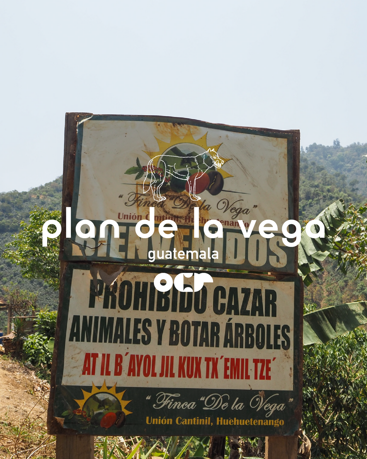 Plan De La Vega Guatemala 200gr.