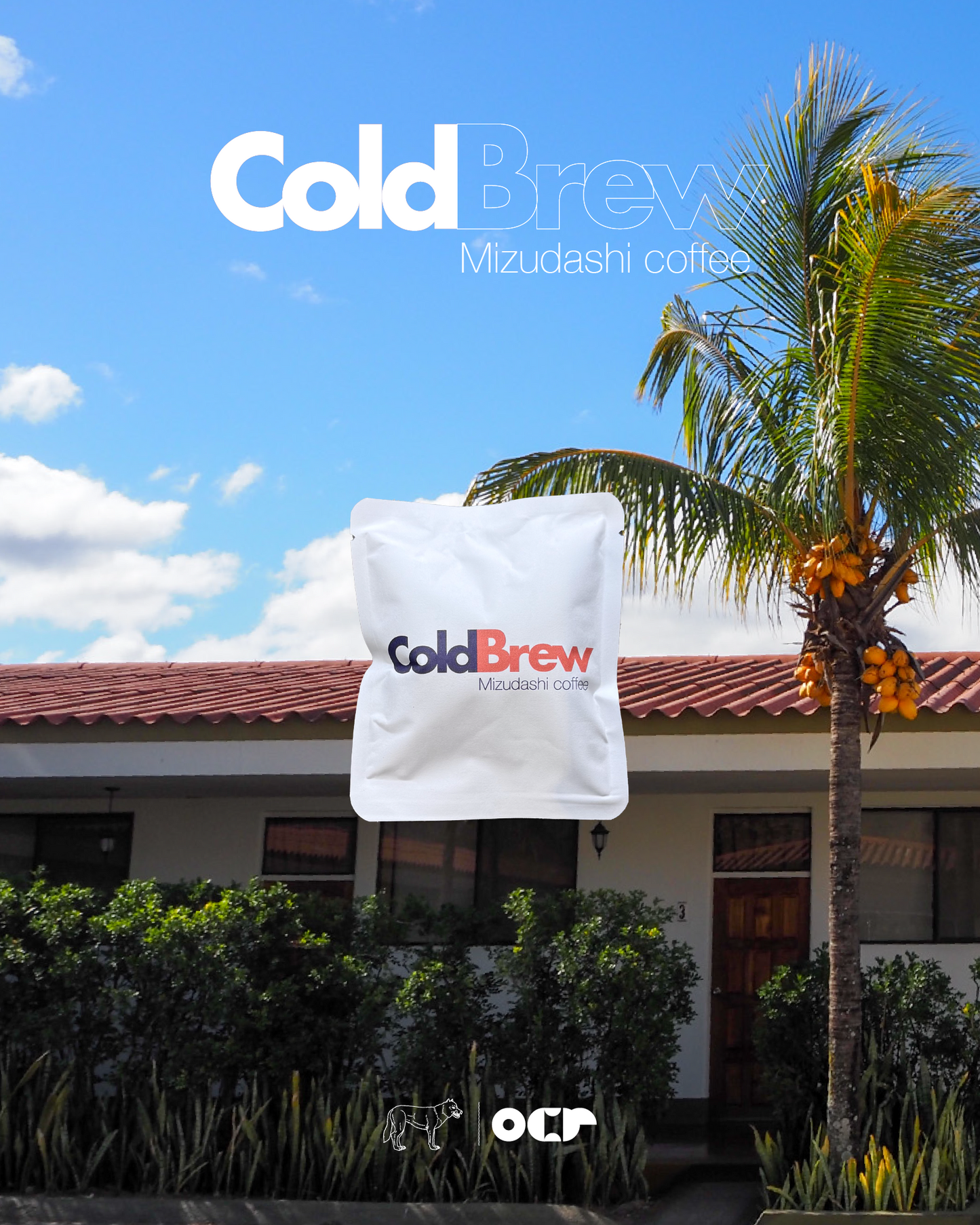 Cold Brew Coffee Bag