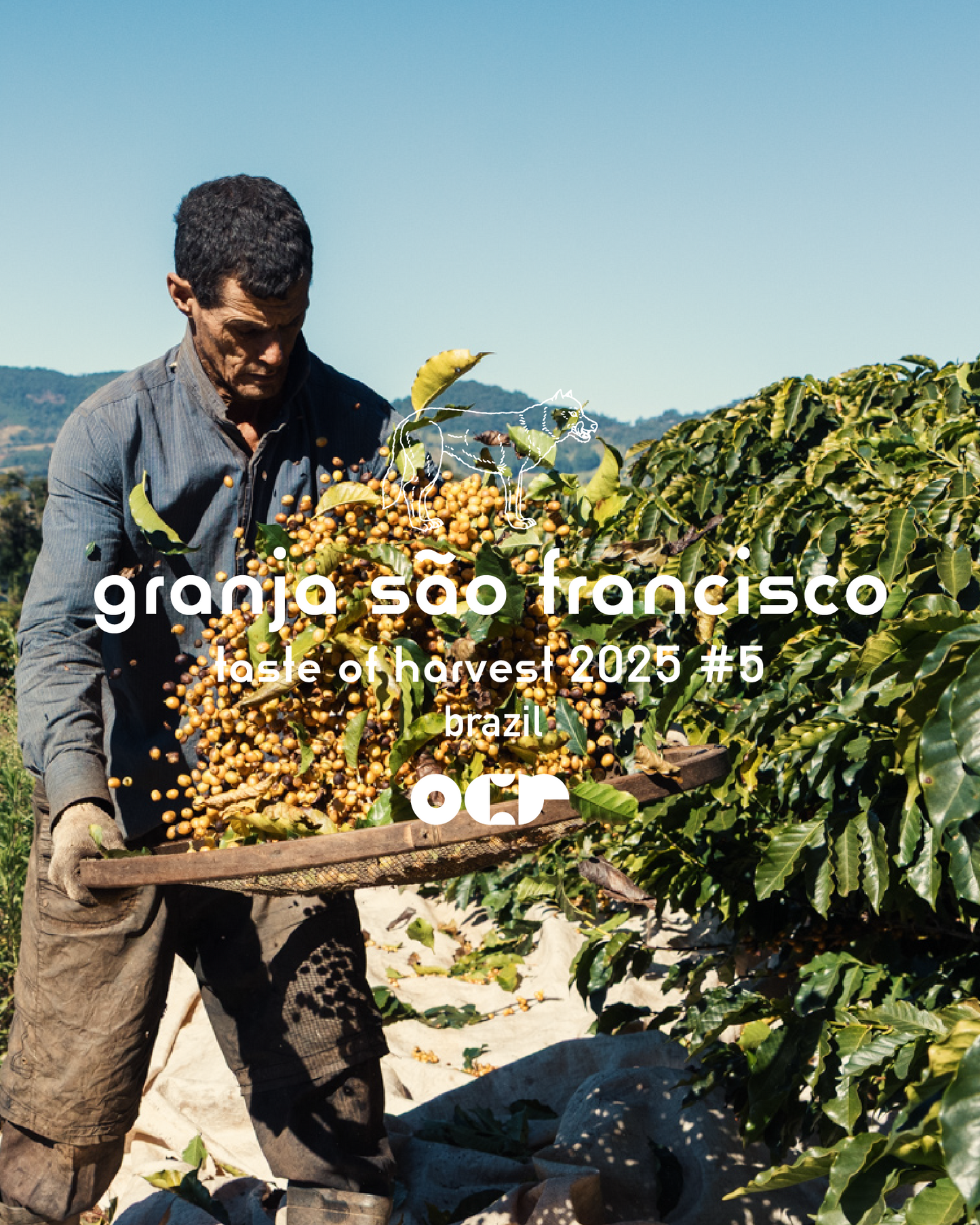 Granja São Francisco Brazil 200gr.