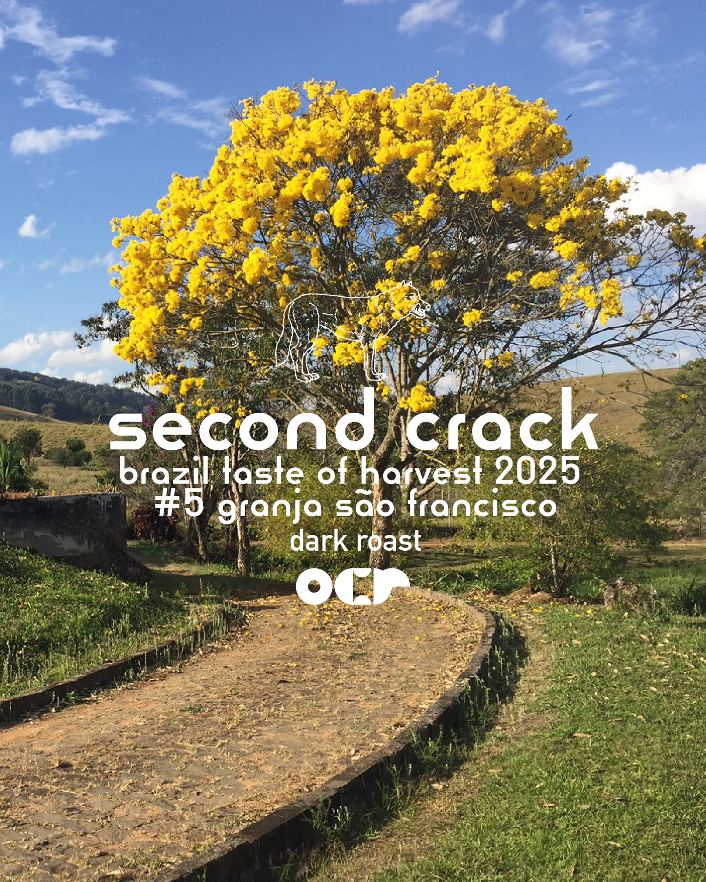 second crack 200gr.
