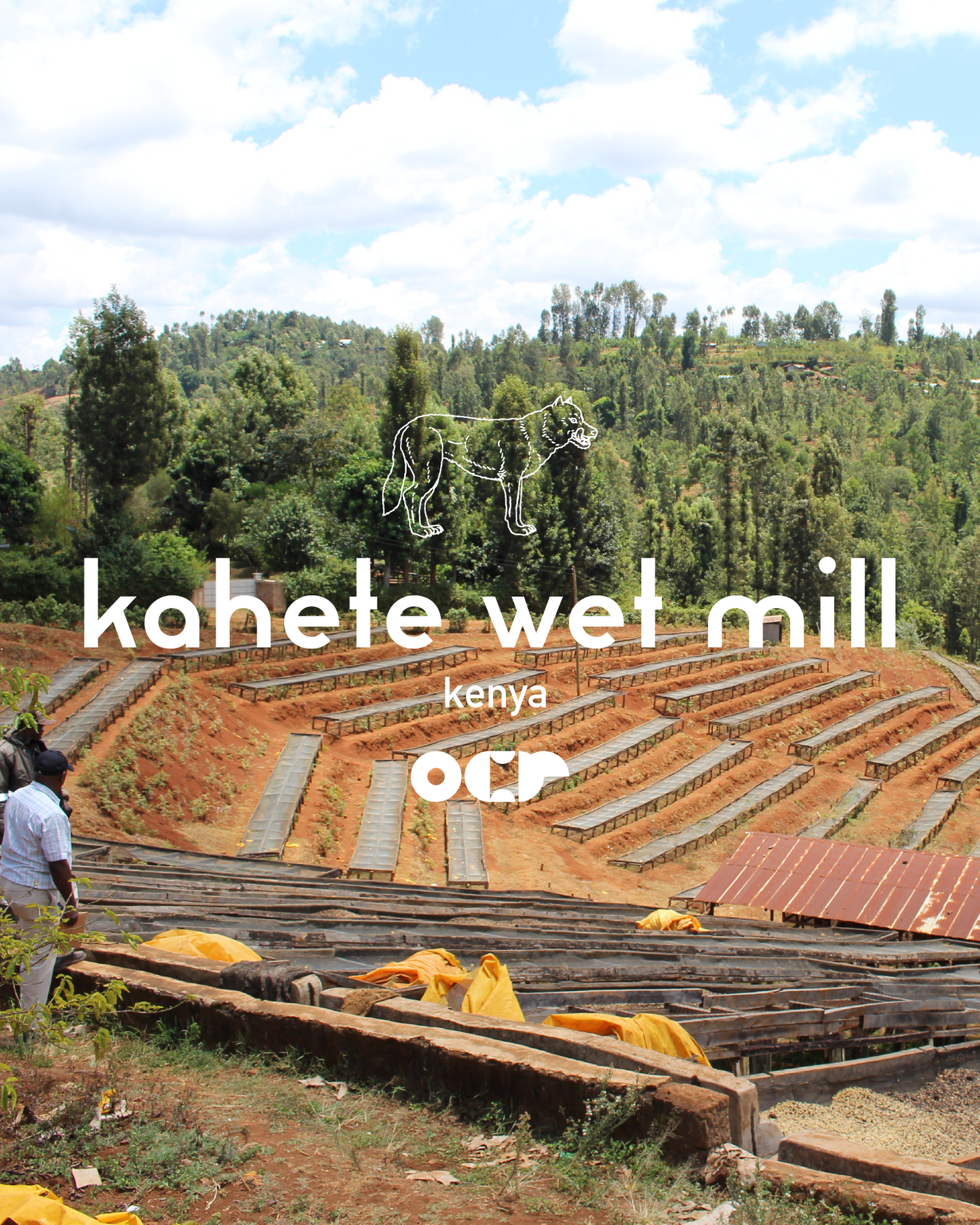 Kahete Wet Mill Kenya 200gr.