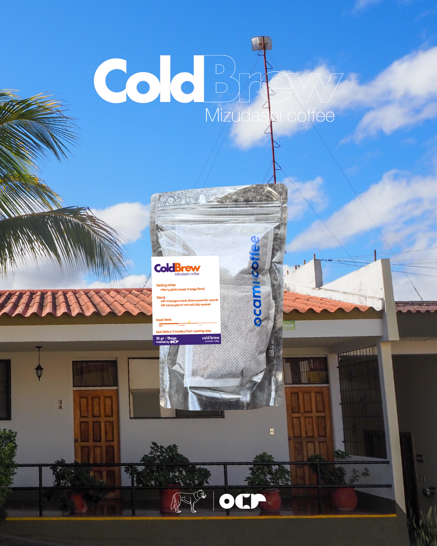 Cold Brew Coffee Bag