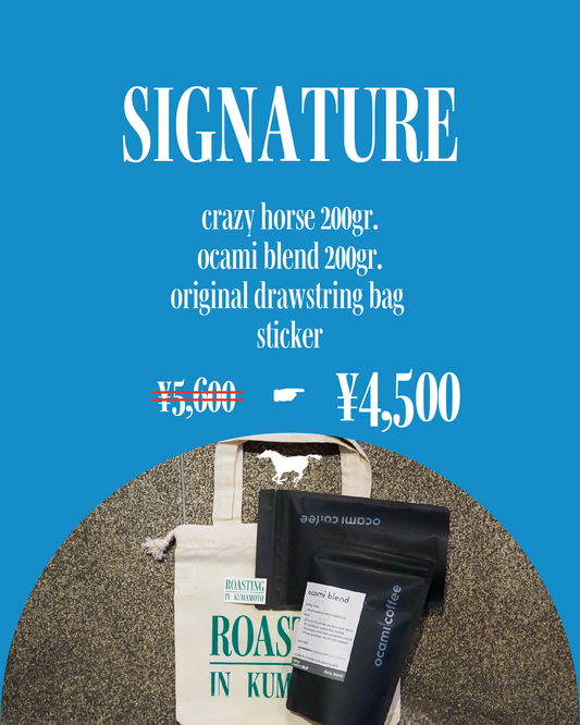 Lucky Bag - Signature