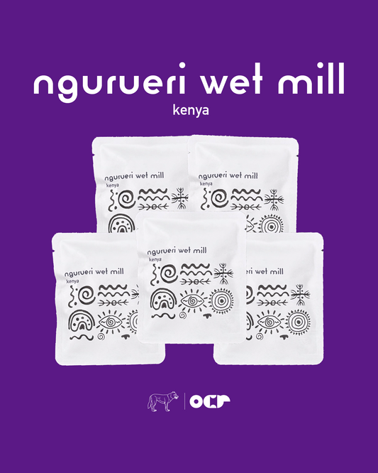 Drip Bag × 5　（Ngurueri Wet Mill）