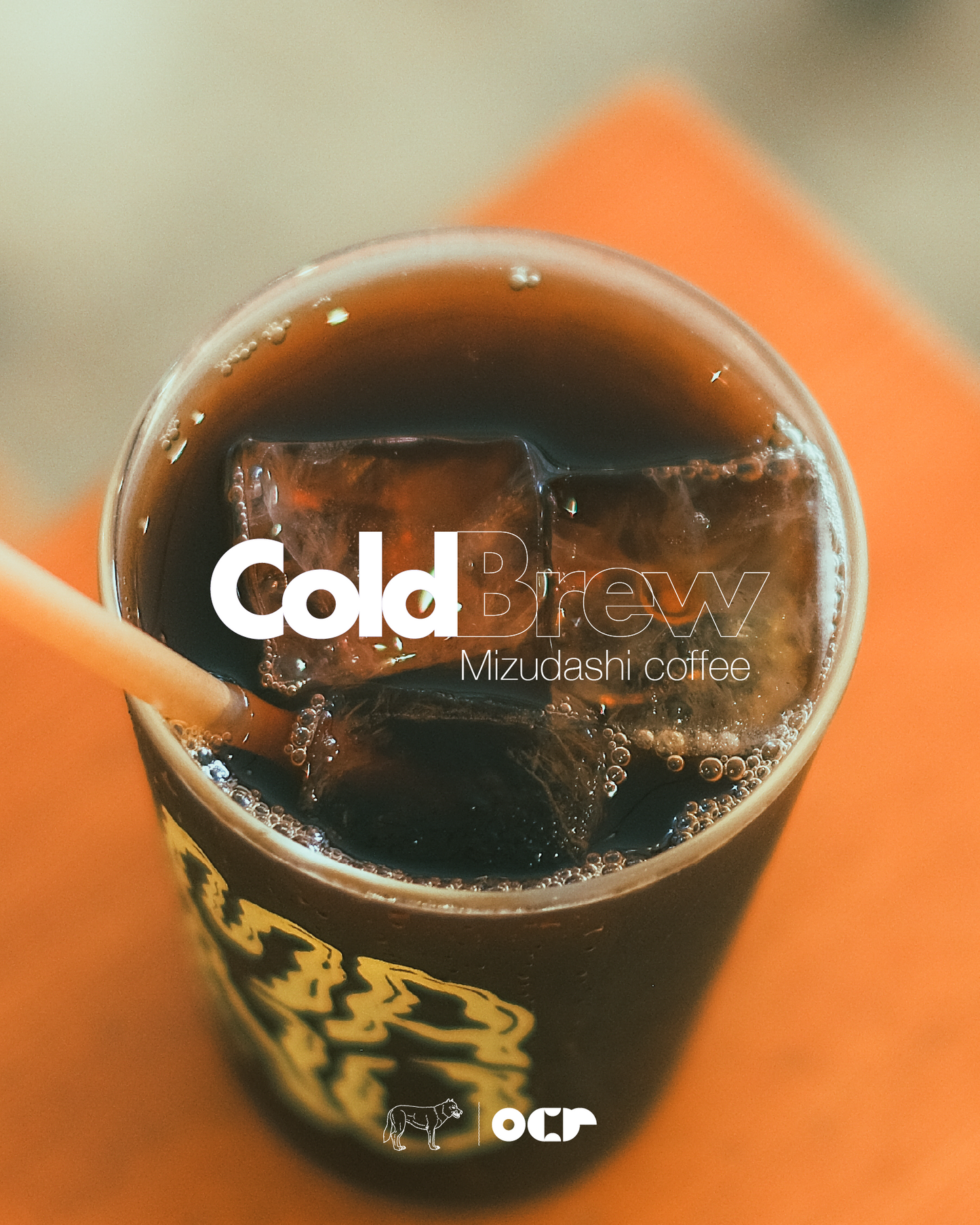 Cold Brew Coffee Bag