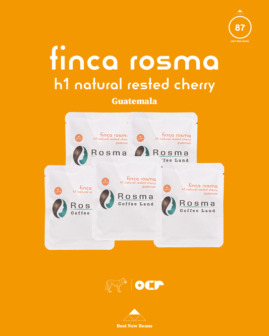 Drip Bag × 5　（Rosma H1 Natural Rested Cherry）