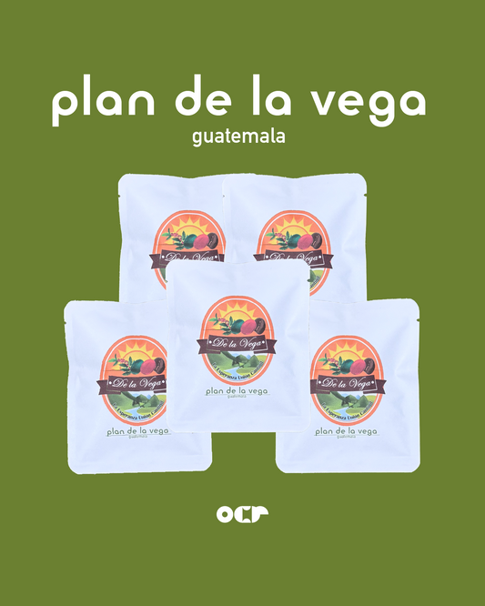 Drip Bag × 5　（Plan De La Vega Guatemala）