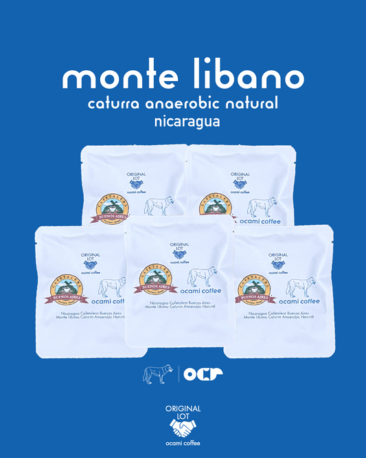 Drip Bag × 5　（Monte Libano Caturra Anaerobic Natural）
