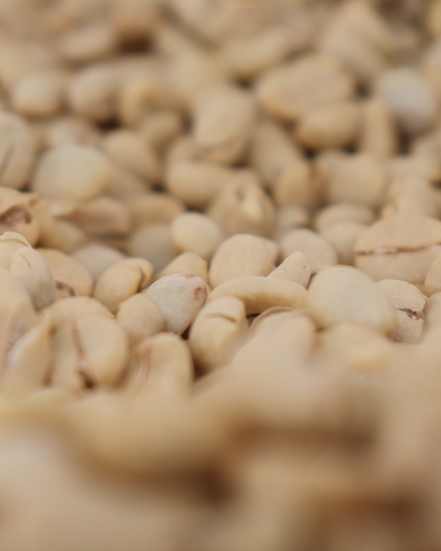 ケニア ギチャタイニ・ウェットミル 200gr.