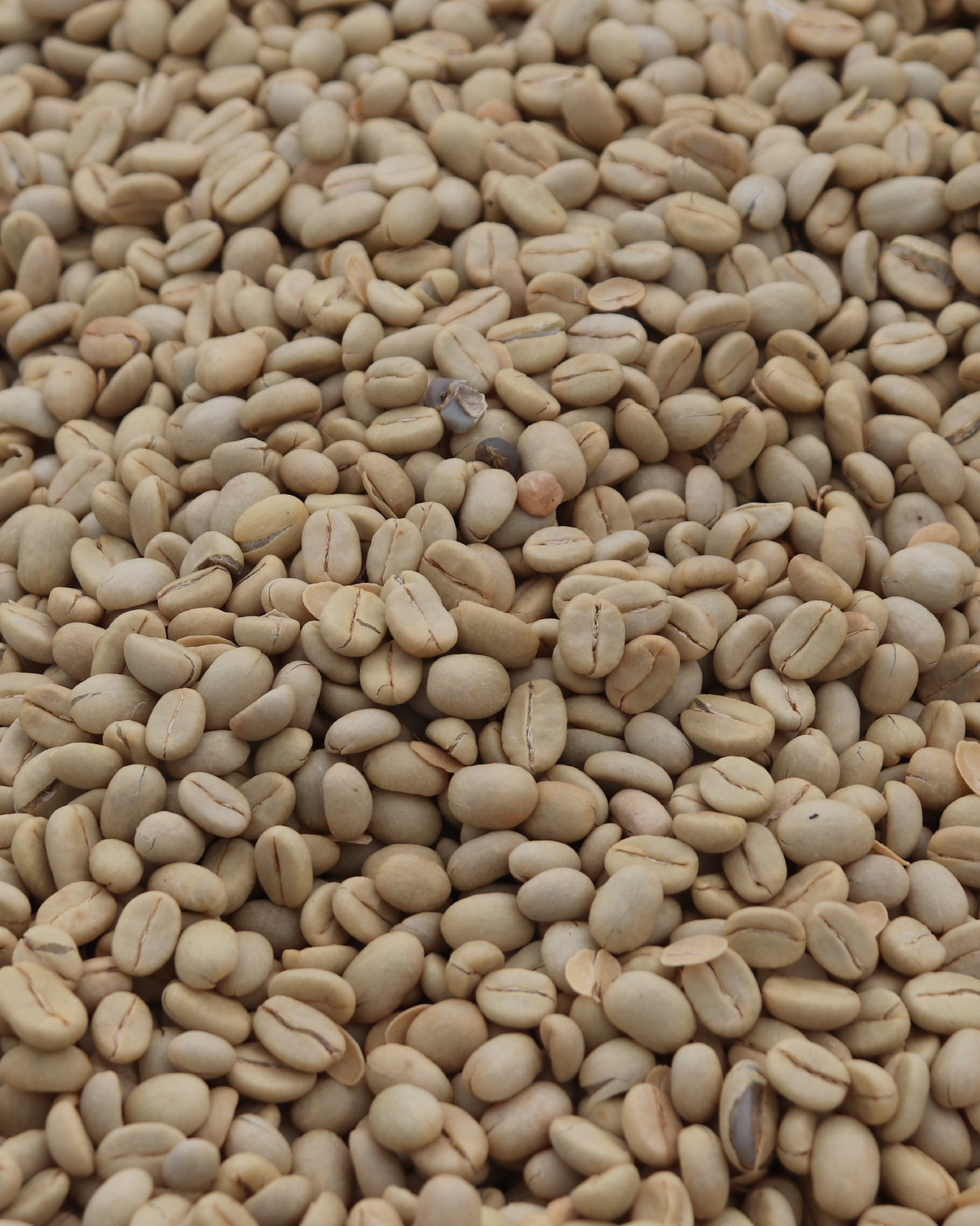 Gaturiri Wet Mill Kenya 200gr.