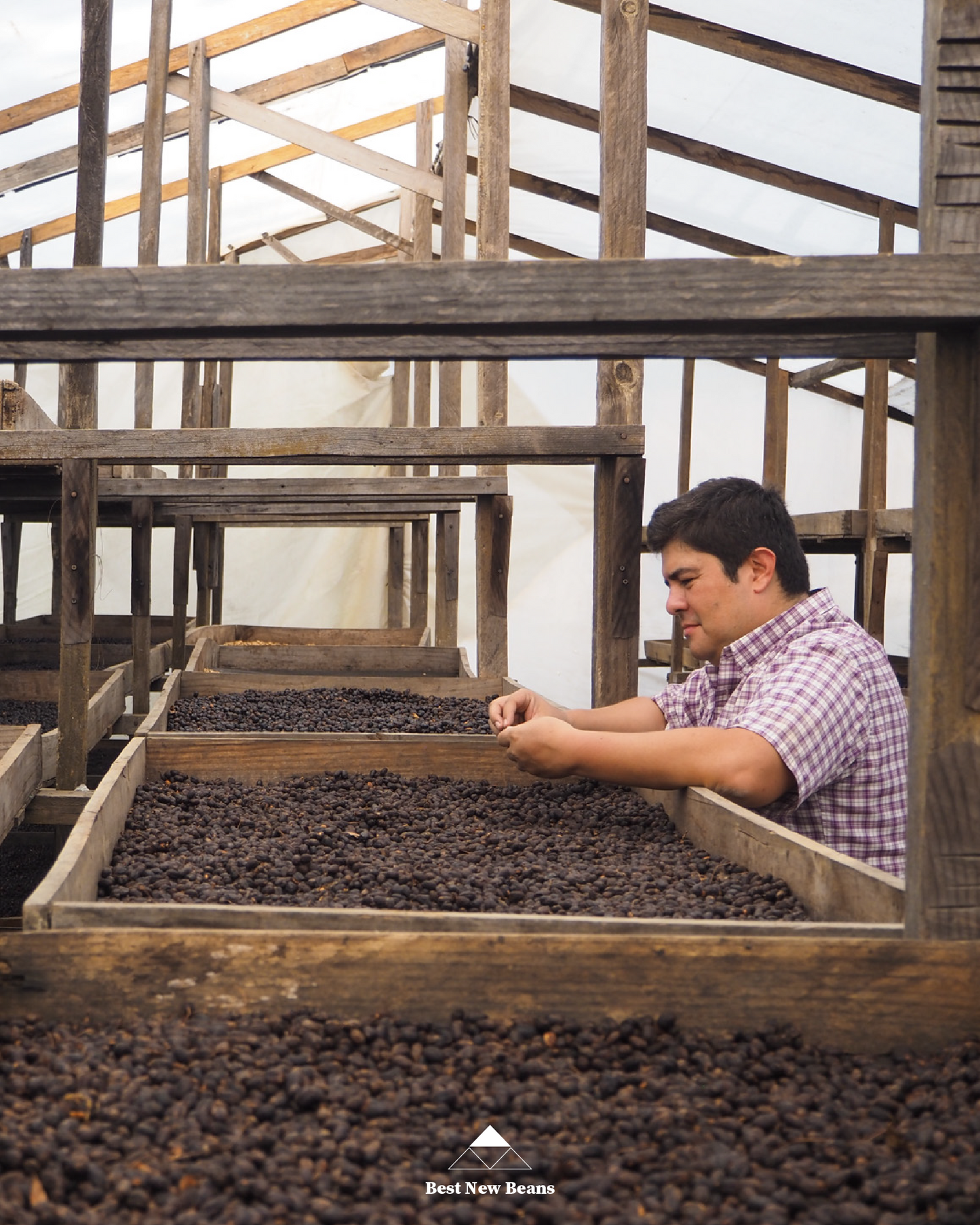 Finca Rosma H1 Natural Rested Cherry Guatemala 200gr.