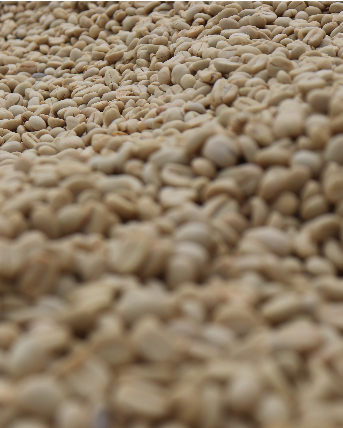 Gaturiri Wet Mill Kenya 200gr.