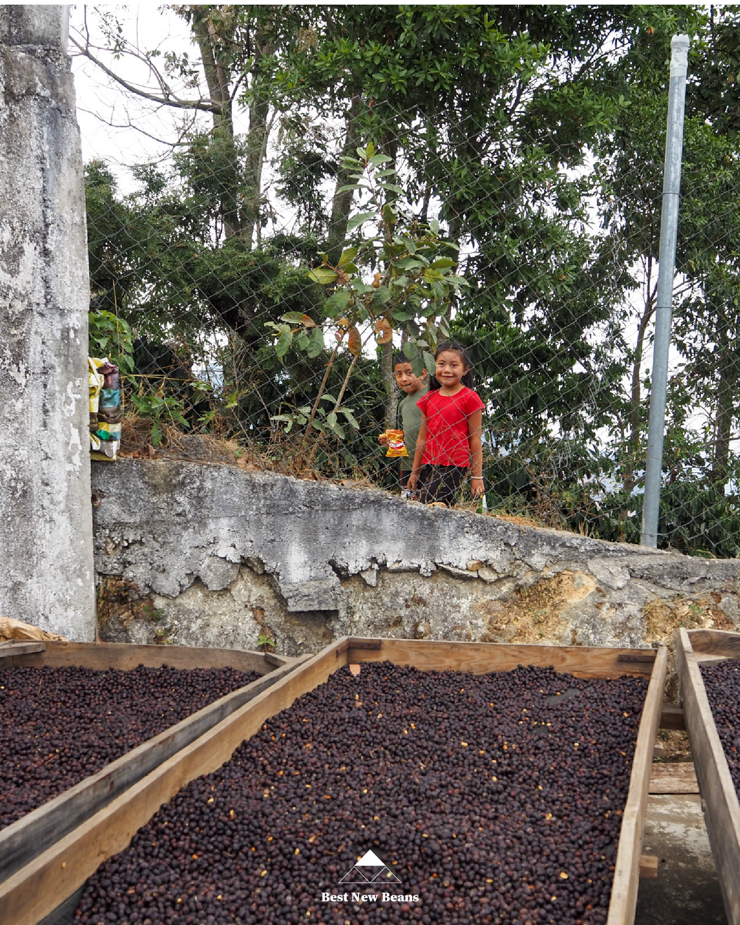 Finca Rosma H1 Natural Rested Cherry Guatemala 200gr.