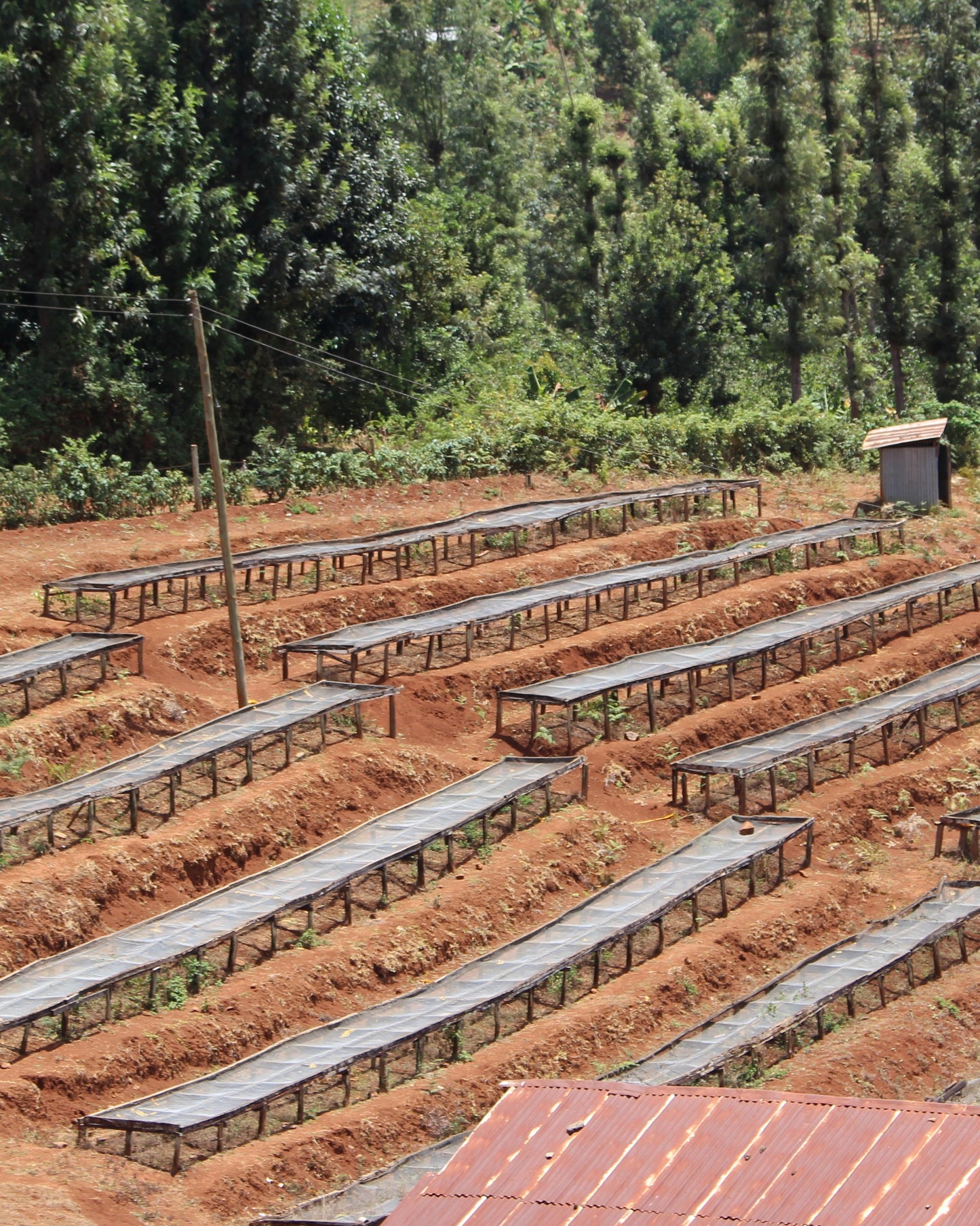 Kahete Wet Mill Kenya 200gr.