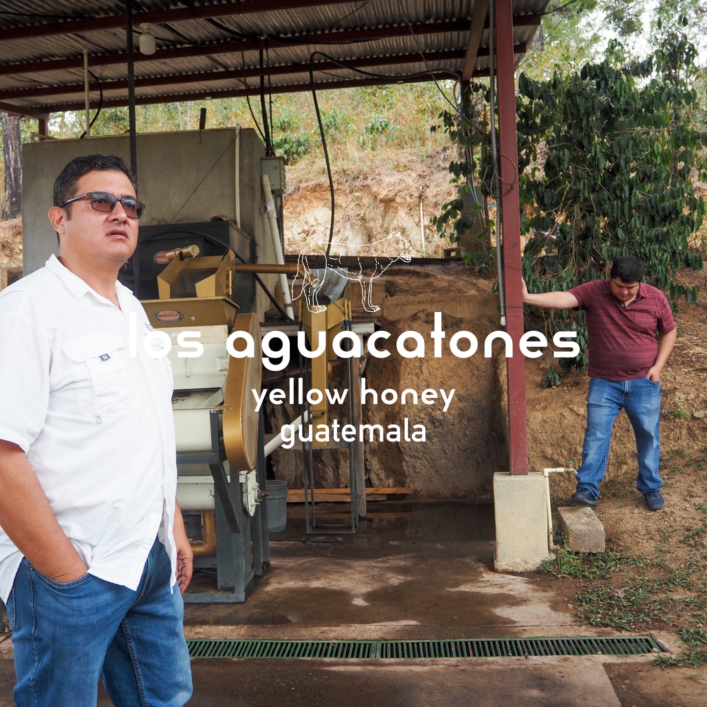Los Aguacatones Yellow Honey Guatemala 200gr.
