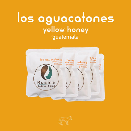 Drip Bag × 5　（Los Aguacatones / Yellow Honey）