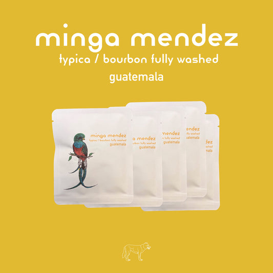 Drip Bag × 5　（Minga Mendez Typica/Bourbon Fully Washed）
