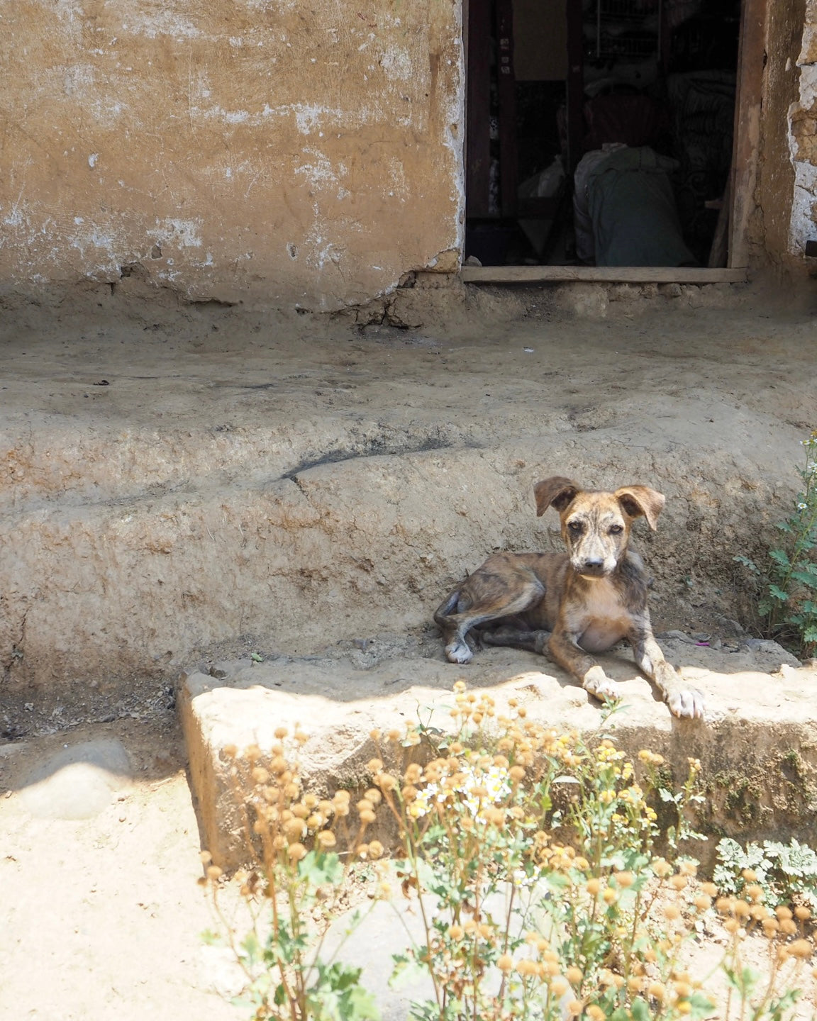 Bella Elizabeth Bourbon/Caturra Natural Guatemala 200gr.