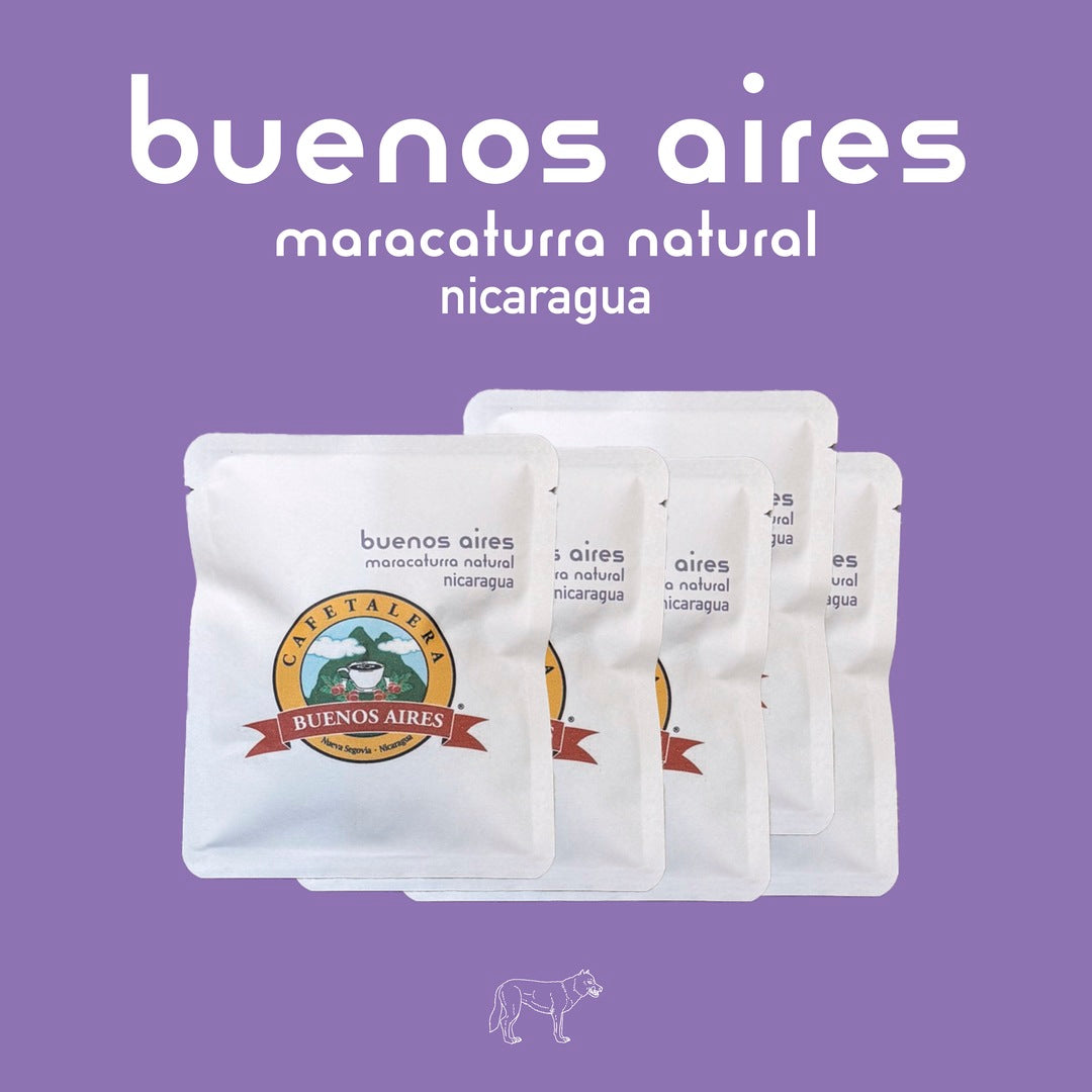 Drip Bag × 5　（Buenos Aires Maracaturra Natural）