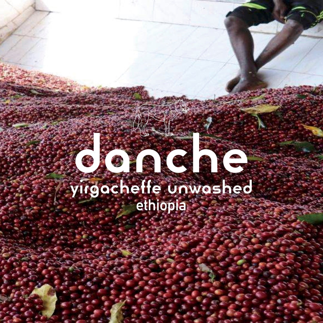 Danche Yirgacheffe Unwashed Ethiopia 200gr.