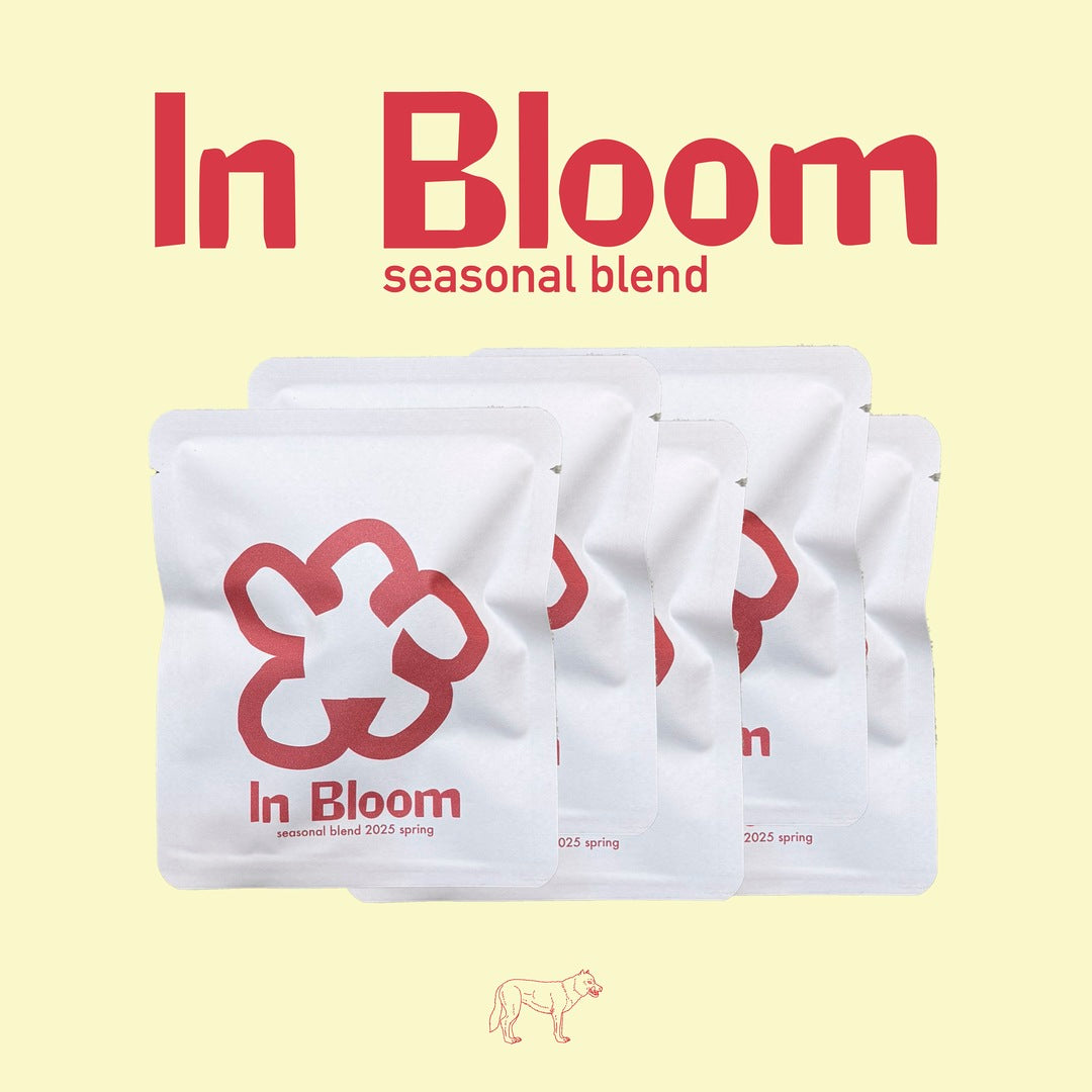 Drip Bag × 5　（In Bloom）