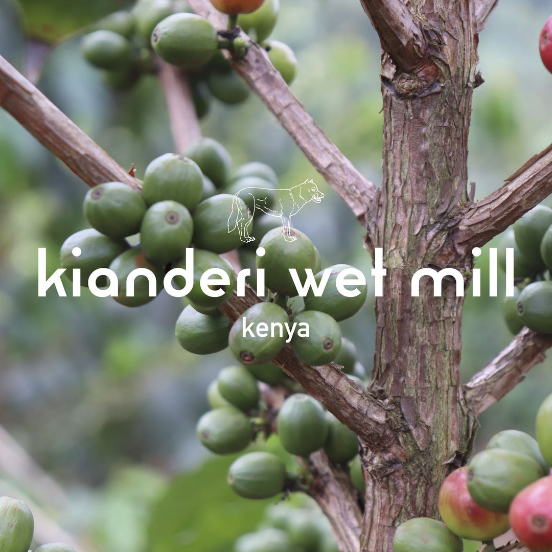 Kianderi wet mill Kenya 200gr.