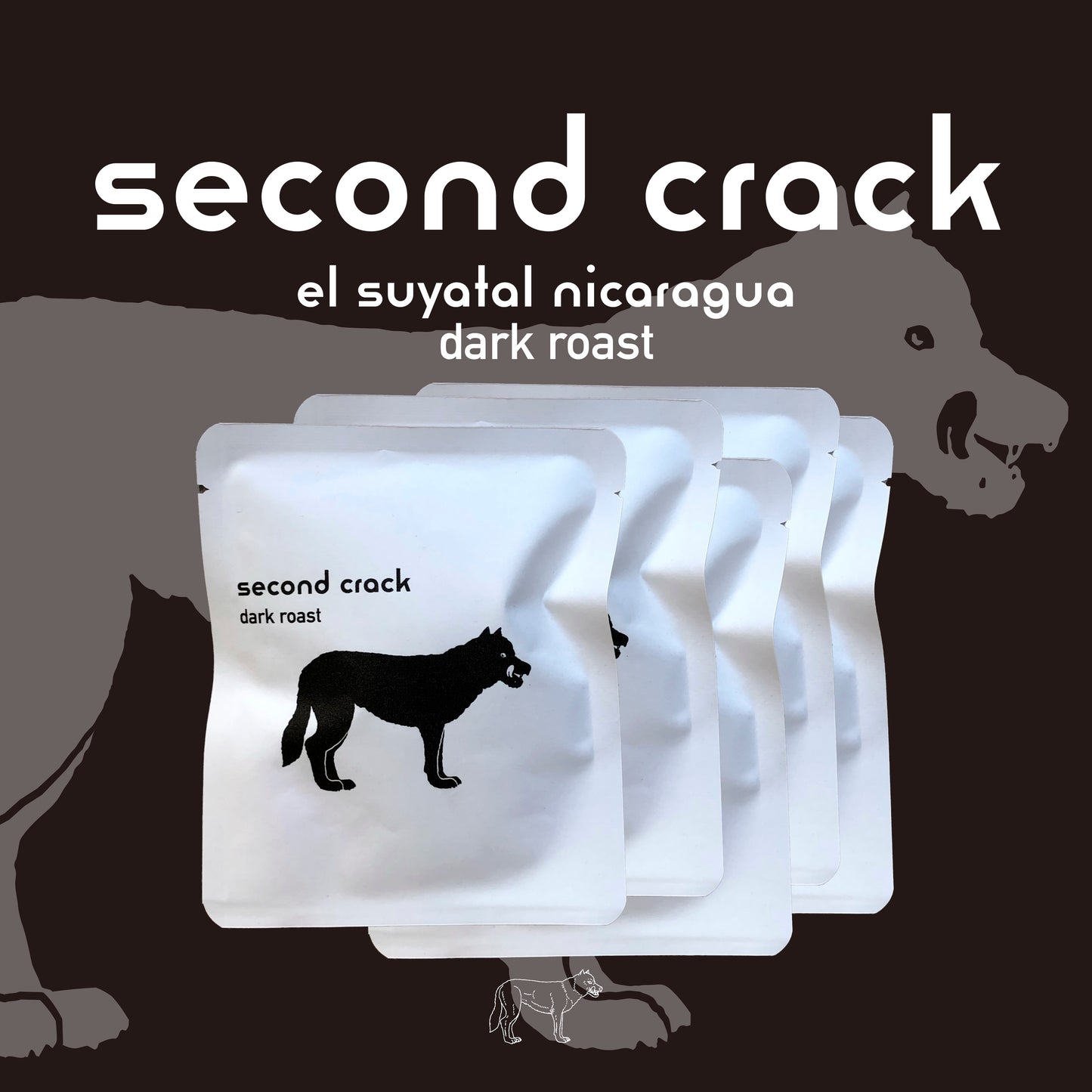 Drip Bag × 5　（second crack）