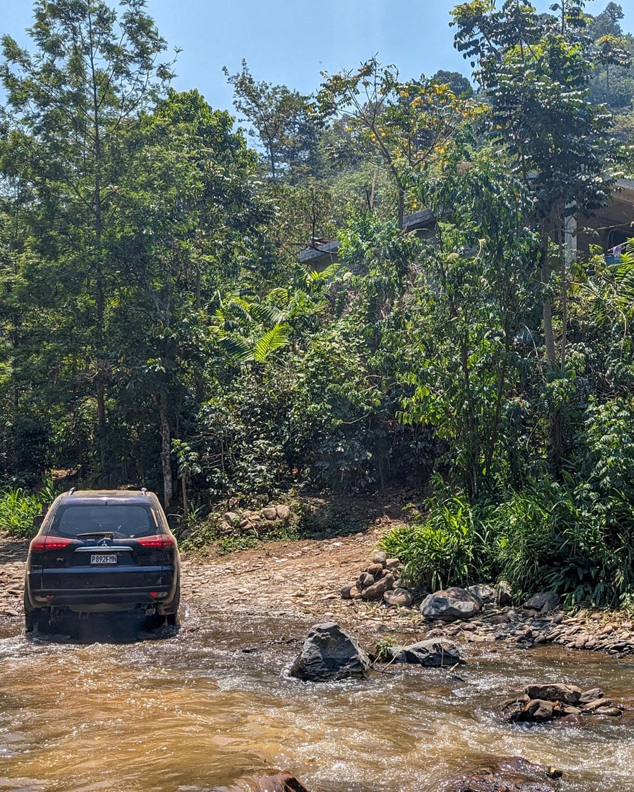 Bella Elizabeth Bourbon/Caturra Natural Guatemala 200gr.